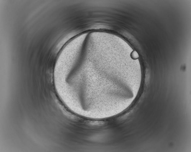 X0000112791321200909181505