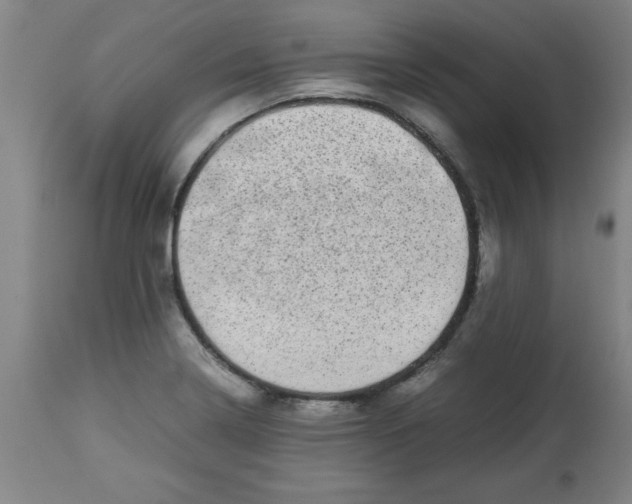 X0000112791322200909181505