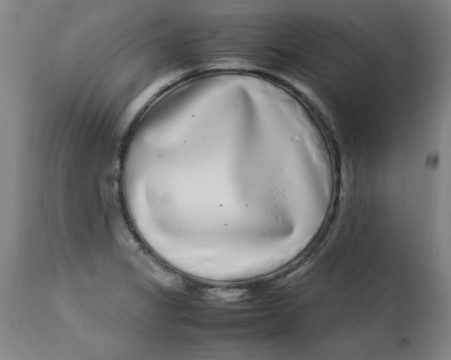 X0000112791325200909181505