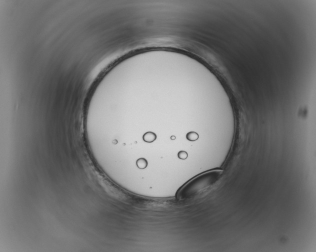 X0000112791328200909181505