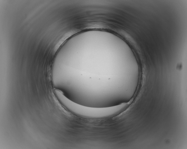 X0000112791329200909181505