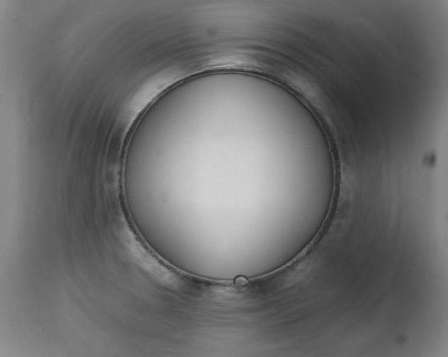 X0000112791330200909181505