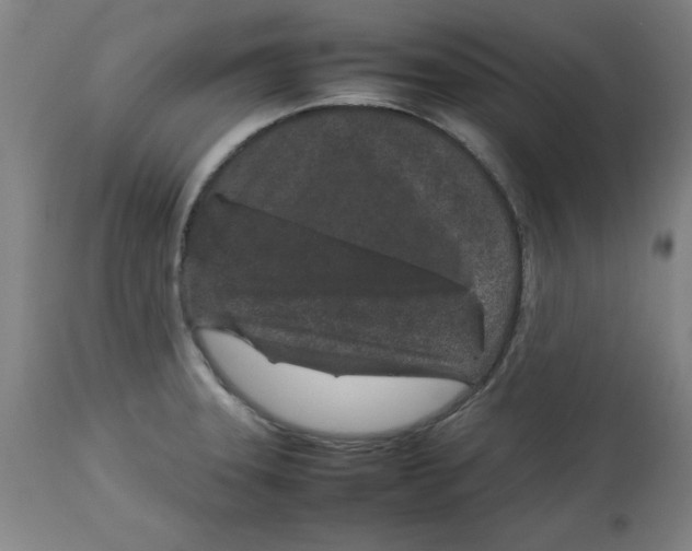 X0000112791331200909181505