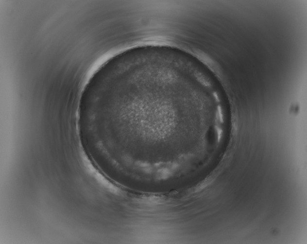 X0000112791334200909181505