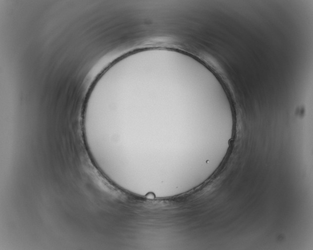 X0000112791336200909181505