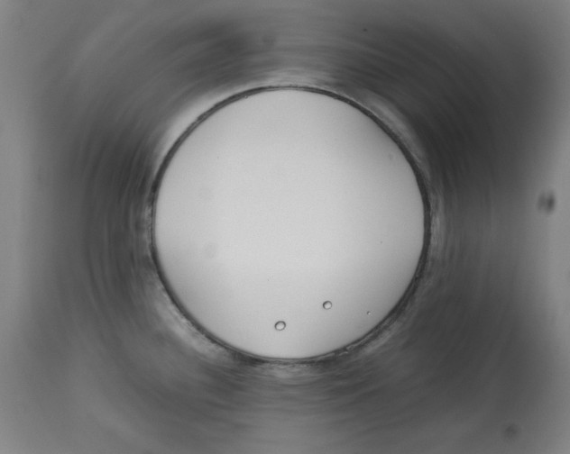 X0000112791340200909181505