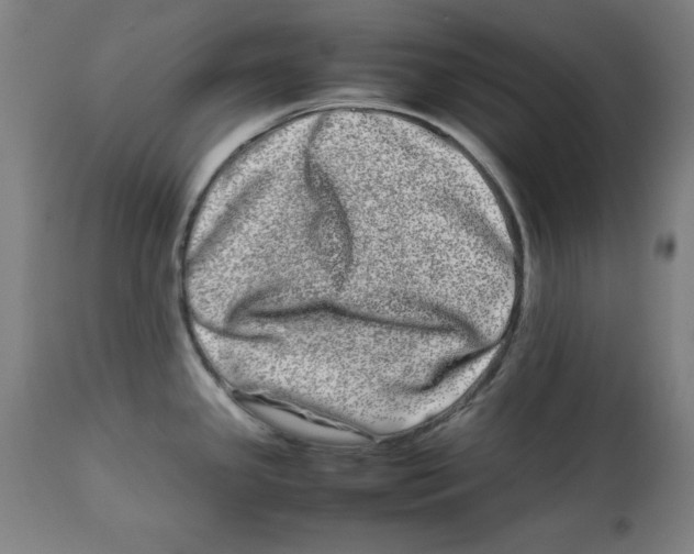 X0000112791341200909181505