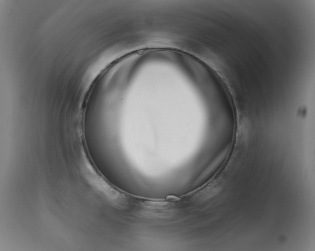 X0000112791342200909181505