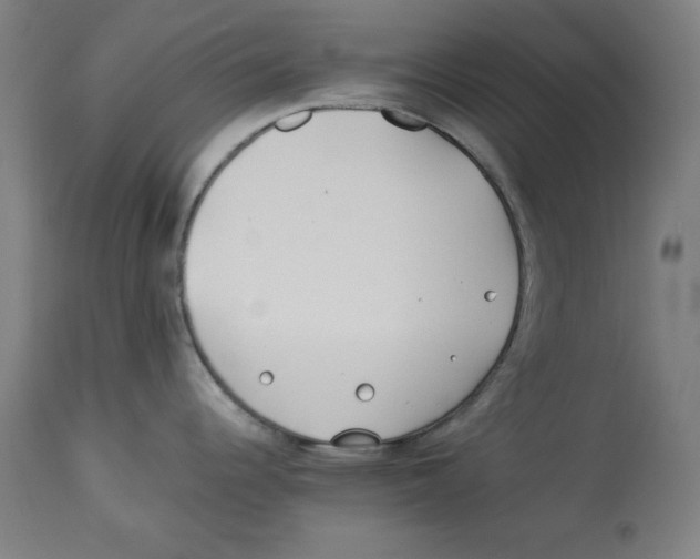 X0000112791344200909181505