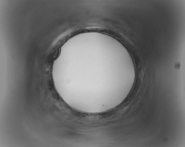 X0000112791351200909181504