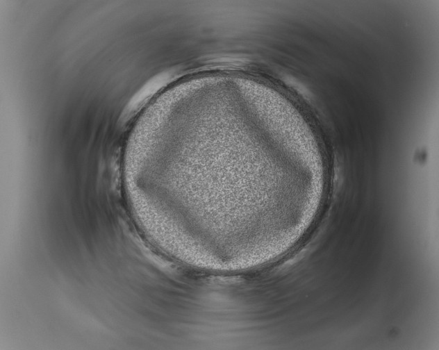 X0000112791354200909181504