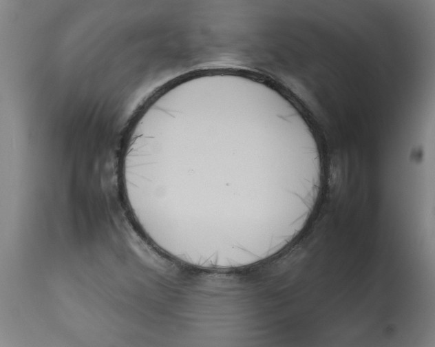 X0000112791356200909181504