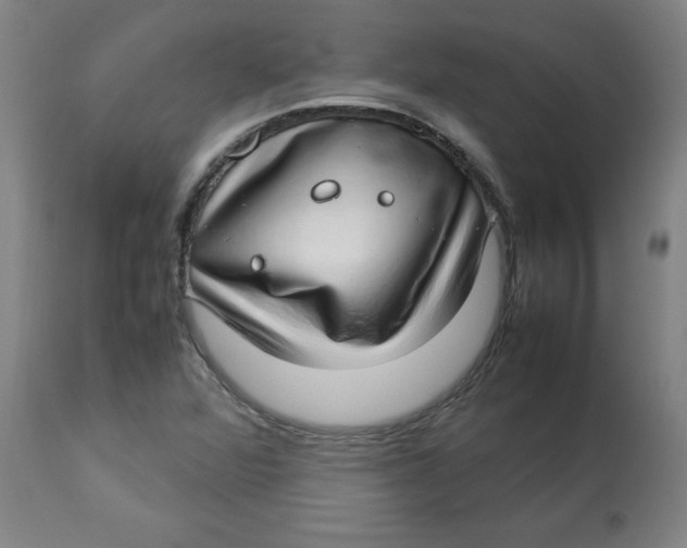 X0000112791360200909181504