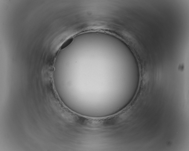 X0000112791361200909181504