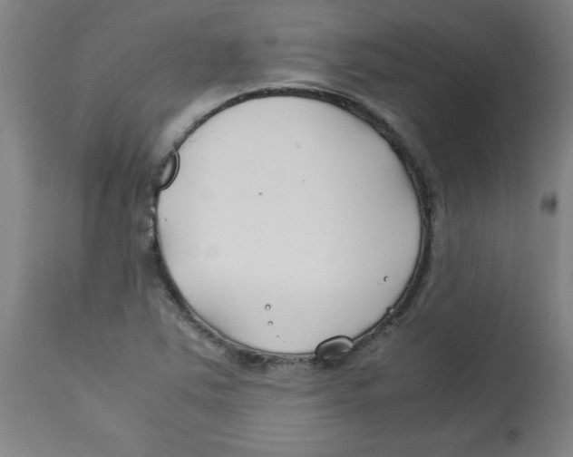 X0000112791363200909181504