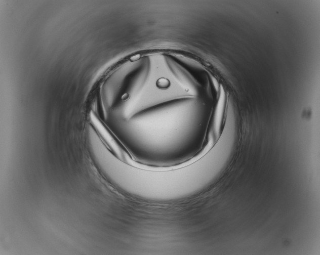 X0000112791364200909181504