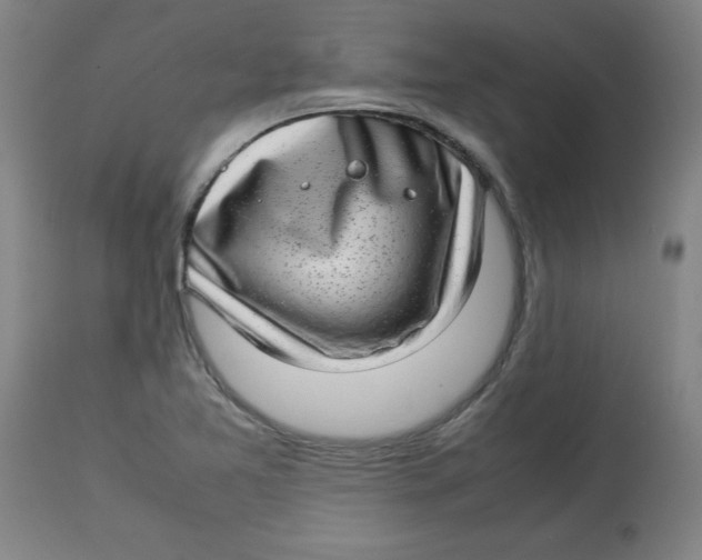 X0000112791365200909181504