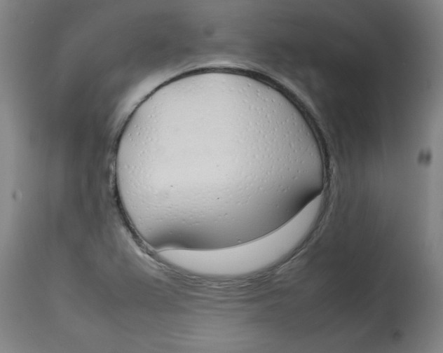 X0000112791367200909181504