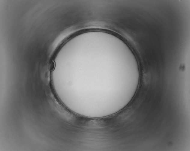 X0000112791368200909181504