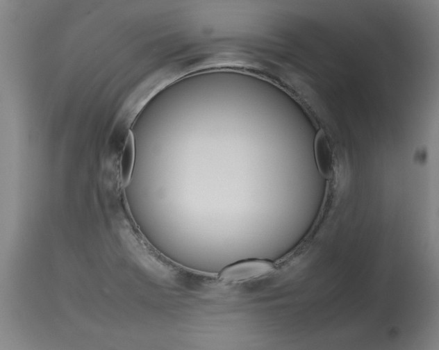 X0000112791369200909181504