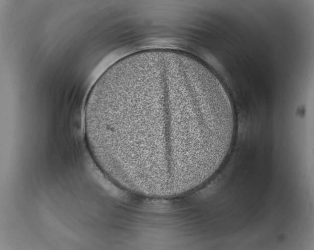 X0000112791370200909181504