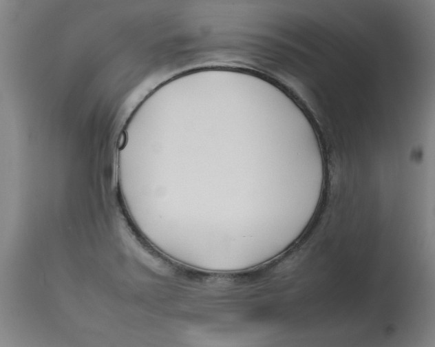 X0000112791371200909181504