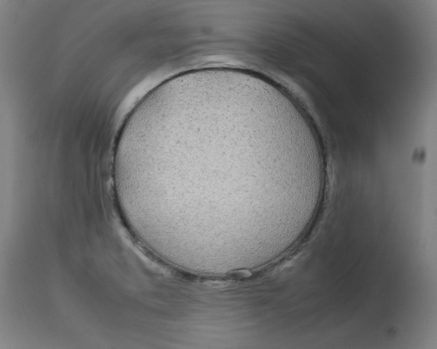 X0000112791373200909181504