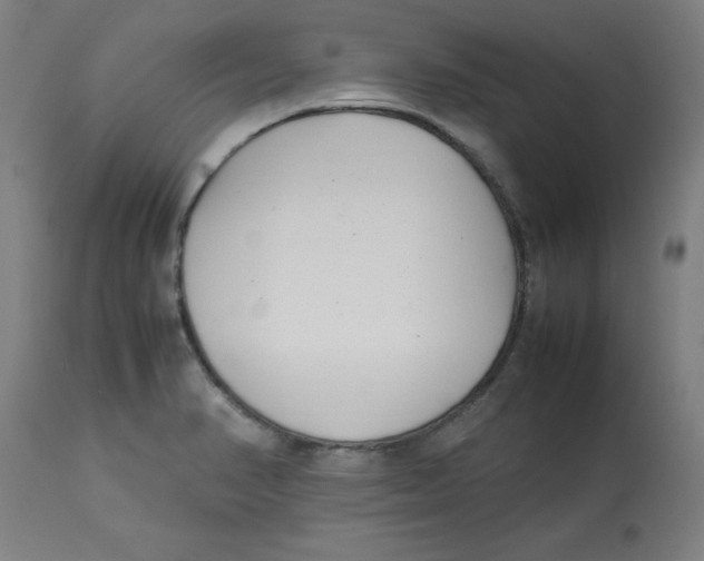 X0000112791374200909181504