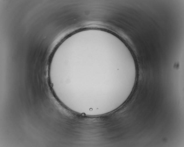 X0000112791376200909181504