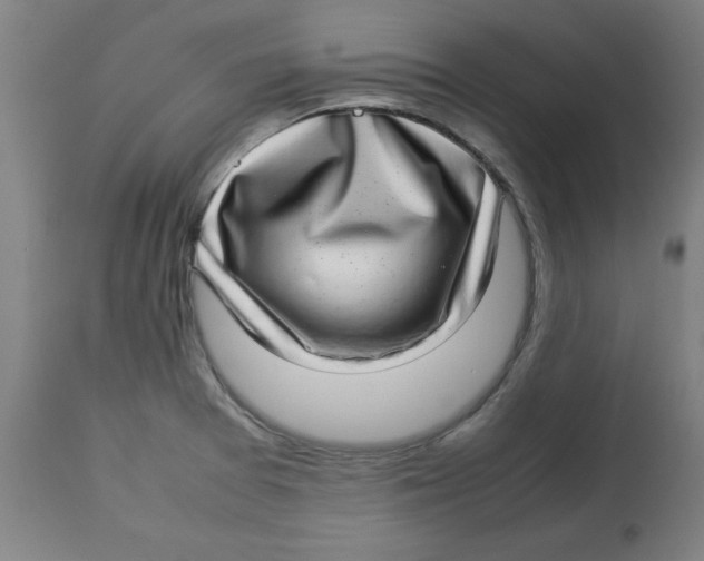 X0000112791377200909181504