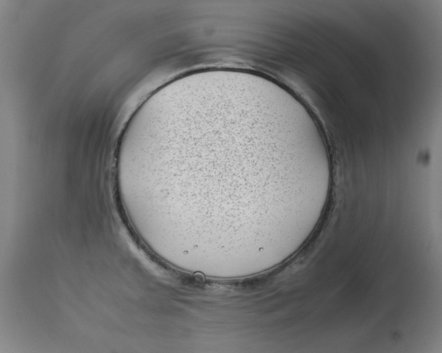 X0000112791379200909181504