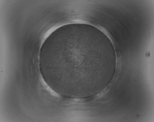 X0000112791381200909181504