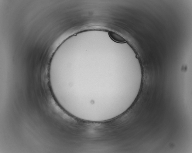 X0000112791382200909181504