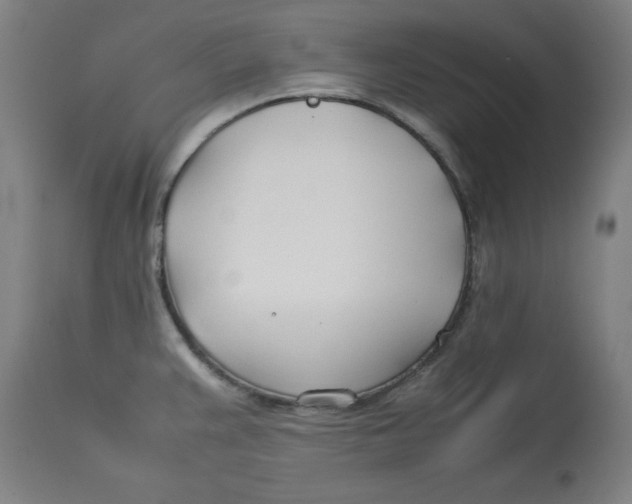 X0000112791383200909181504