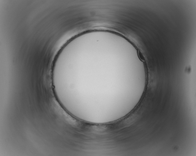 X0000112791384200909181504