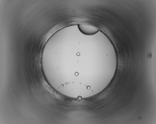 X0000112791386200909181504