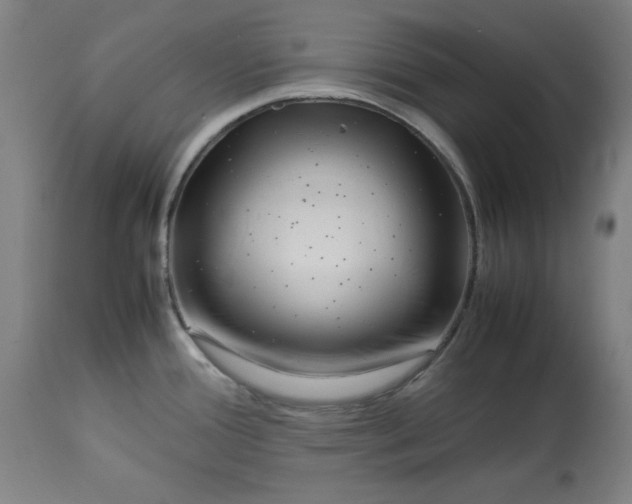 X0000112791388200909181504