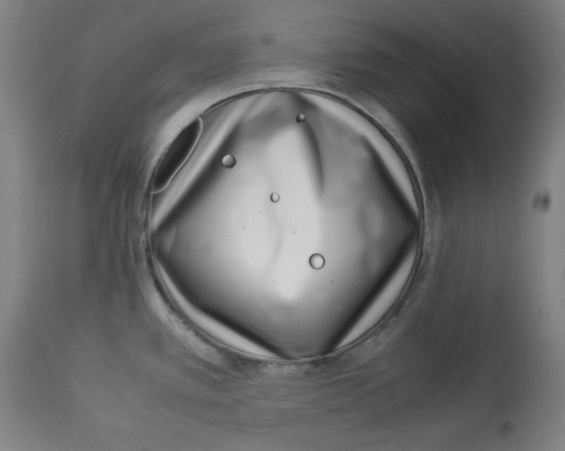 X0000112791389200909181504