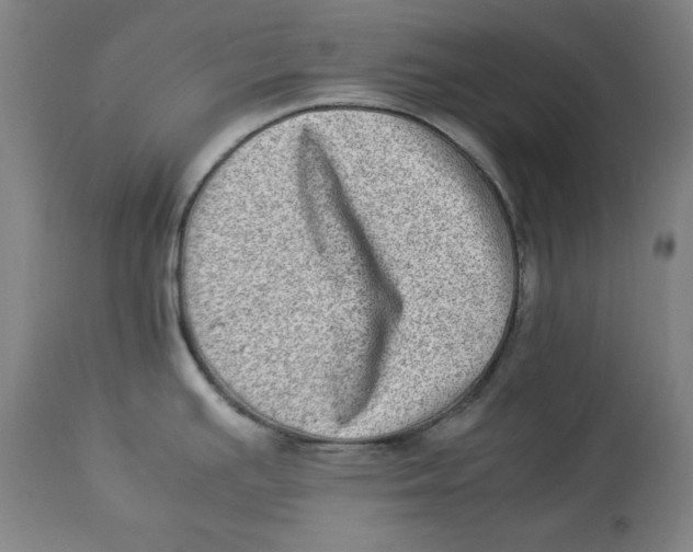 X0000112791391200909181504