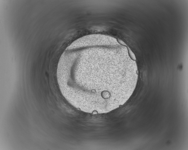 X0000112791393200909181503