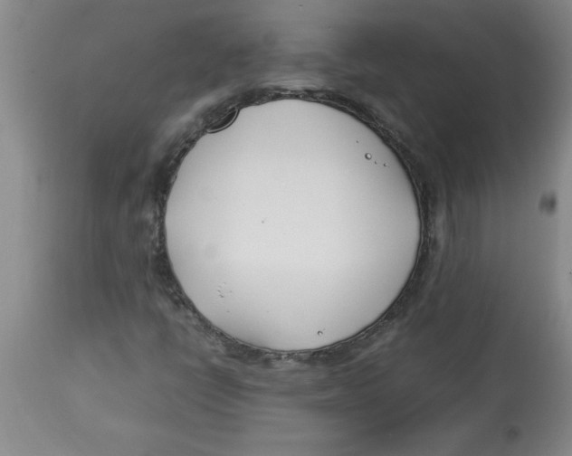 X0000112791398200909181503