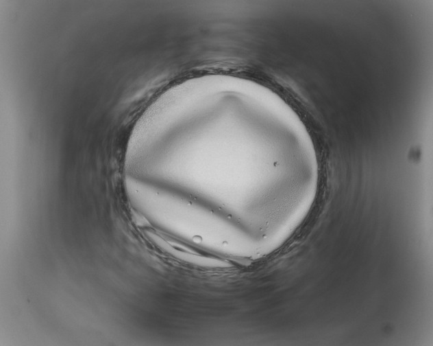 X0000112791399200909181503