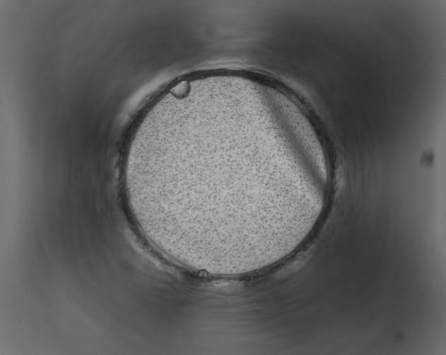 X0000112791406200909181503