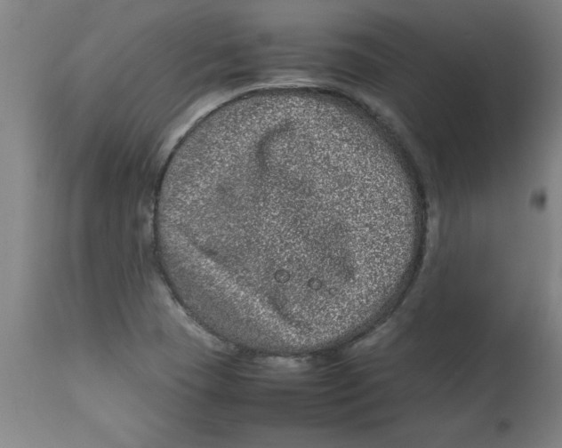 X0000112791409200909181503