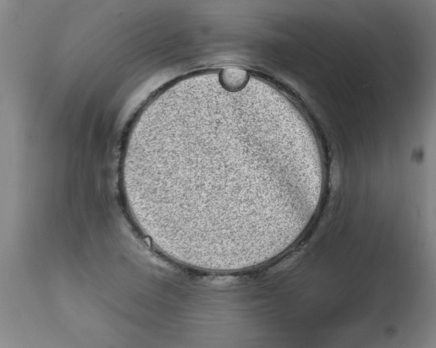 X0000112791410200909181503