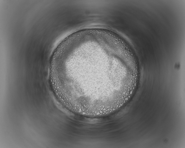 X0000112791413200909181503