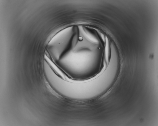 X0000112791417200909181503