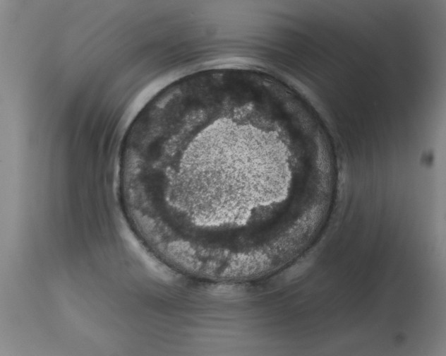 X0000112791418200909181503