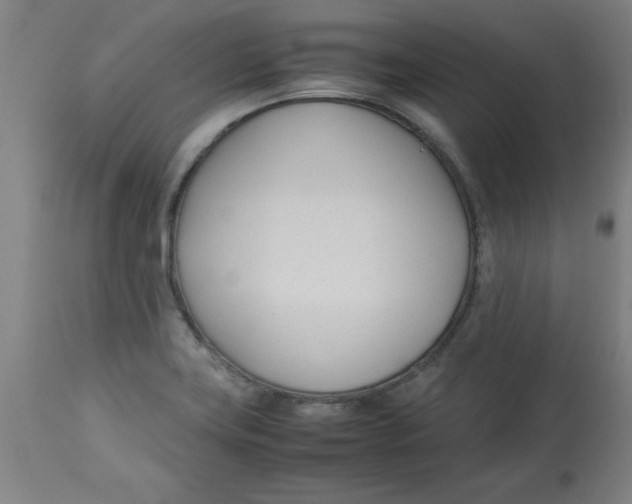 X0000112791419200909181503