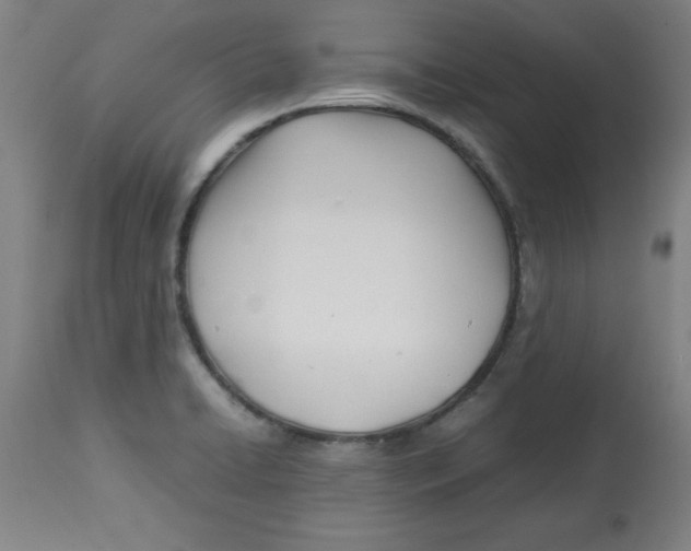 X0000112791422200909181503